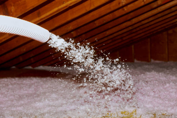 Best Geographic-Specific Insulation Services in Lake Winnebago, MO