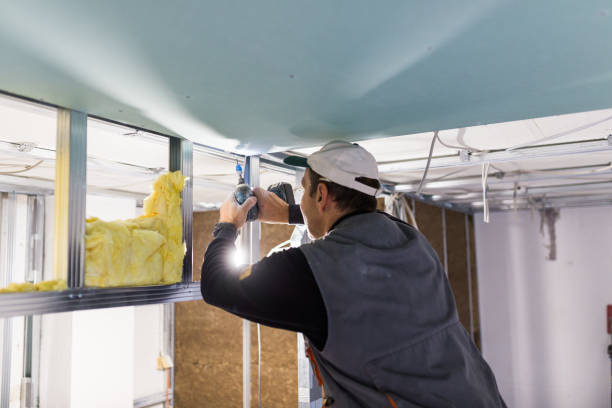 Best Energy Efficiency Insulation in Lake Winnebago, MO