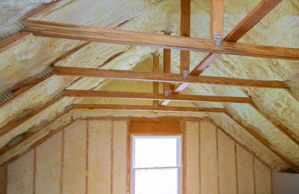 Best Specialized Insulation Services in Lake Winnebago, MO
