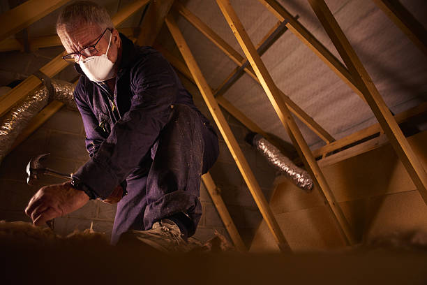 Best Cellulose Insulation in Lake Winnebago, MO